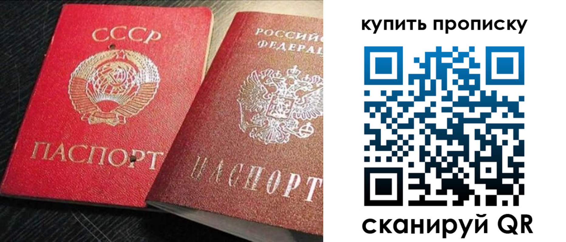 временная регистрация гарантия в Владимирской области